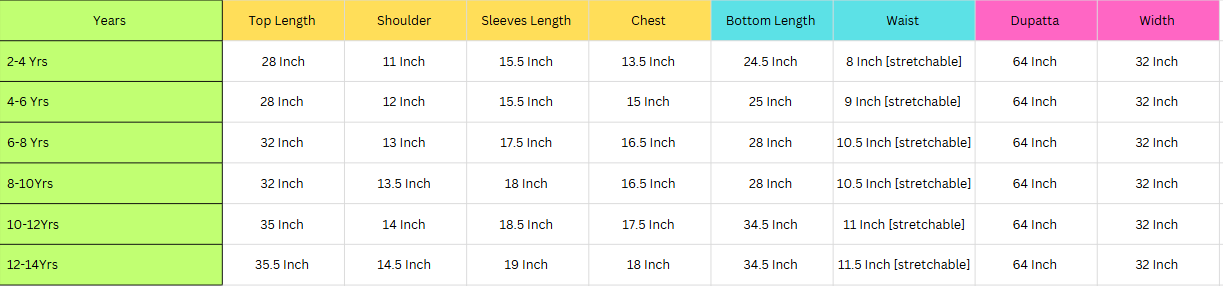 Elegant Embroidered Festive Suit for Girls